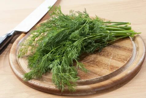 فروش ویژه اینترنتی سبزی شوید خشک صادراتی + قیمت عادلانه